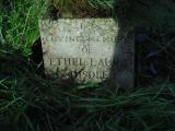 image of grave number 546769